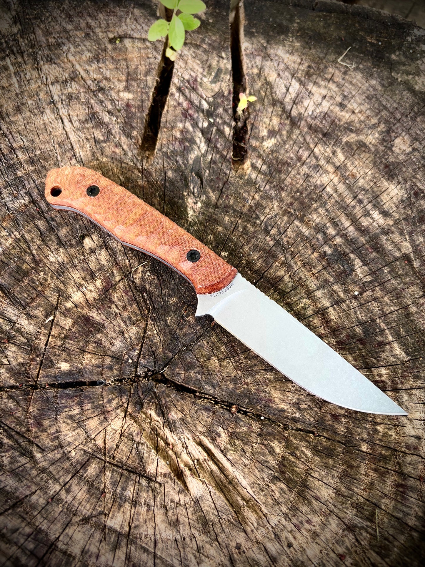 HUNTER 3.5