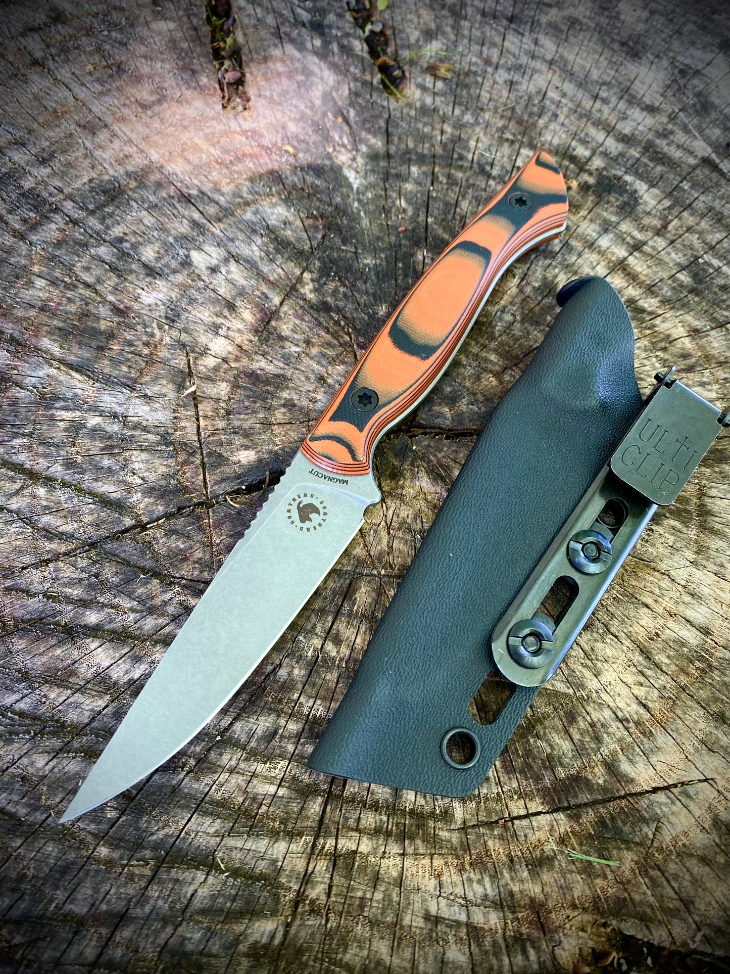 TRAPPER