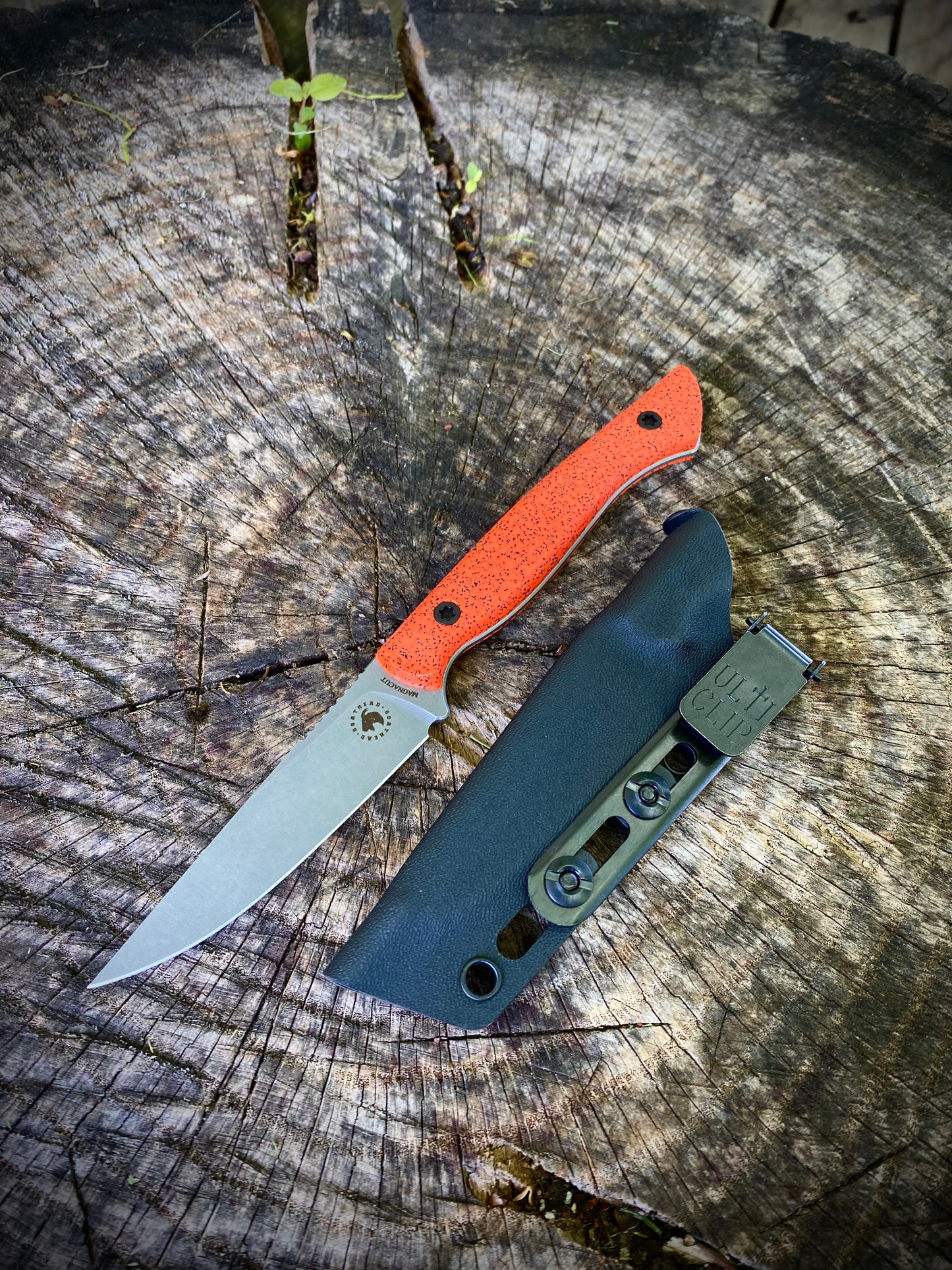 TRAPPER