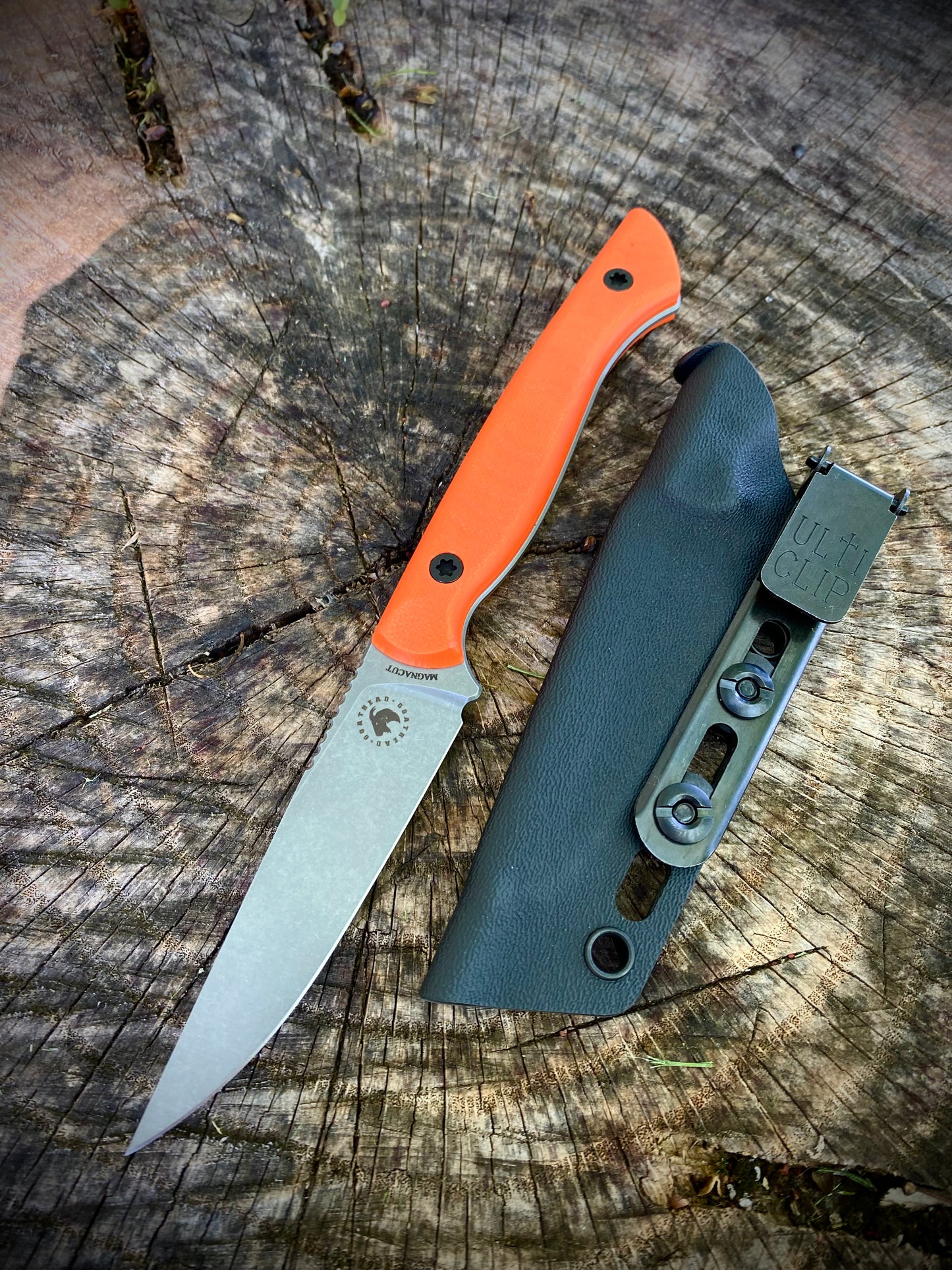 TRAPPER
